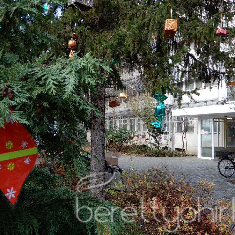 Fenyődíszítés a kórházban 32